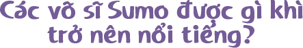 Các võ sĩ Sumo được gì khì trở nên nổi tiếng?